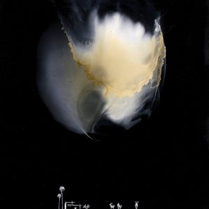 Serie De Otros Mundos5, mixta sobre metacrilato, 42x30cm